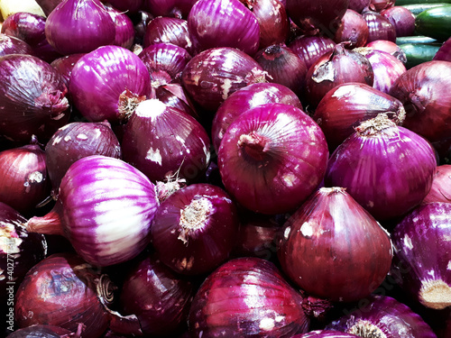 Obraz na płótnie Cebolla morada w salonie