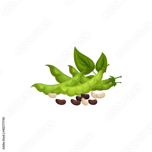 Kidney beans and soybeans isolated green pods and leaves. Vector raw plants, vegetarian food