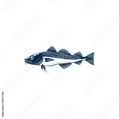 Codfish freshwater gamefish fish isolated monochrome icon. Vector European, Balkhash or yellow perch, river or lake animal, Walleye Zander or scumbidae saltwater fish. Fishing sport mascot