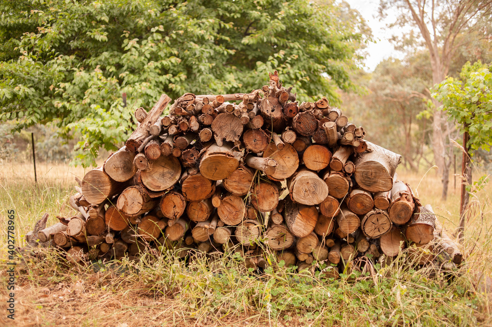 Firewood pile