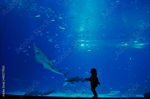 Nice picture of a little girl who went to the aquarium