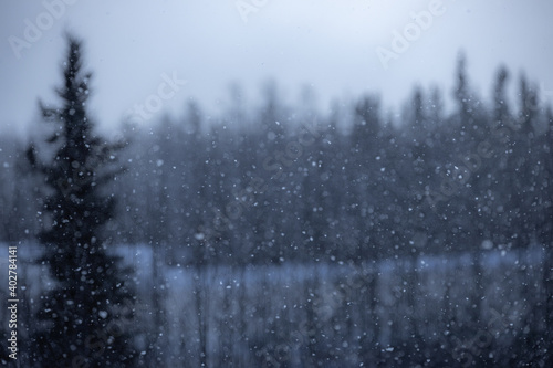 Snowy Winter Landscape