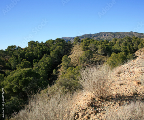 PAISAJE CON LA SIERRA DE CARRASCOY AL FONDO 2