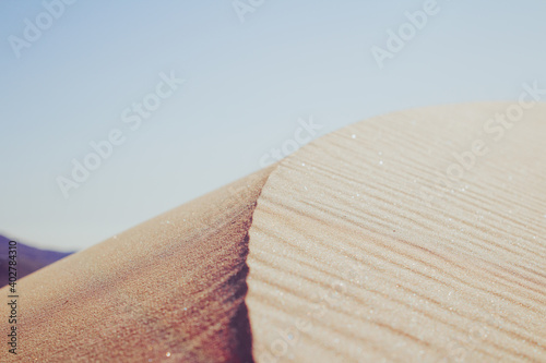 sand dune in the desert