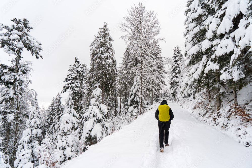 Schwarzwald im Winter