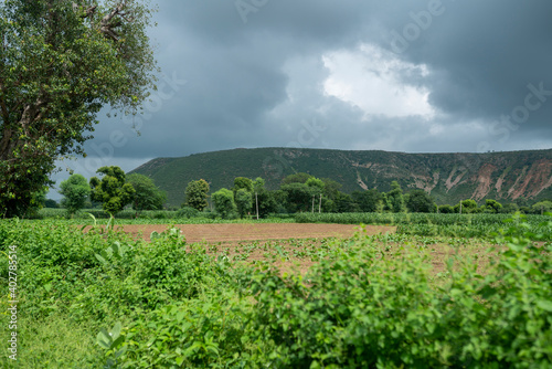 dausa, Rajasthan, India - aghust 15, 2020 Farmer working in the farm rural village photo