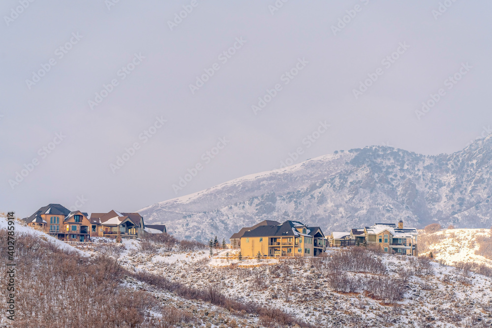 Nature and residential landscape on a snowy winter day with cloudy sky overhead
