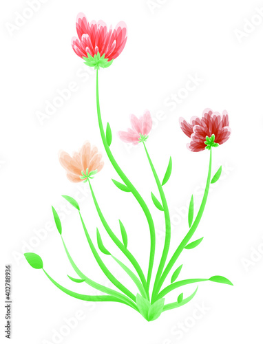 Fototapeta Naklejka Na Ścianę i Meble -  Illustrator of a beautiful plant with flowers of different colors