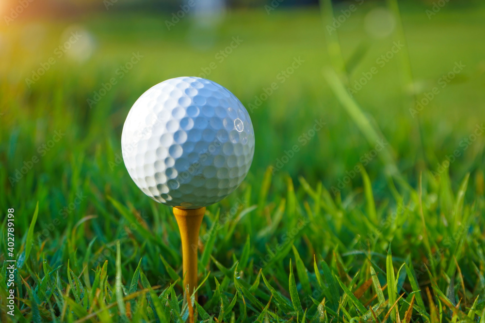 Golf ball on tee in the evening golf course with sunshine background. Golf ball on the green with warm tone and sunset. Golf ball on tee in the evening golf course with sunshine background. Golf ball on the green with warm tone and sunset.