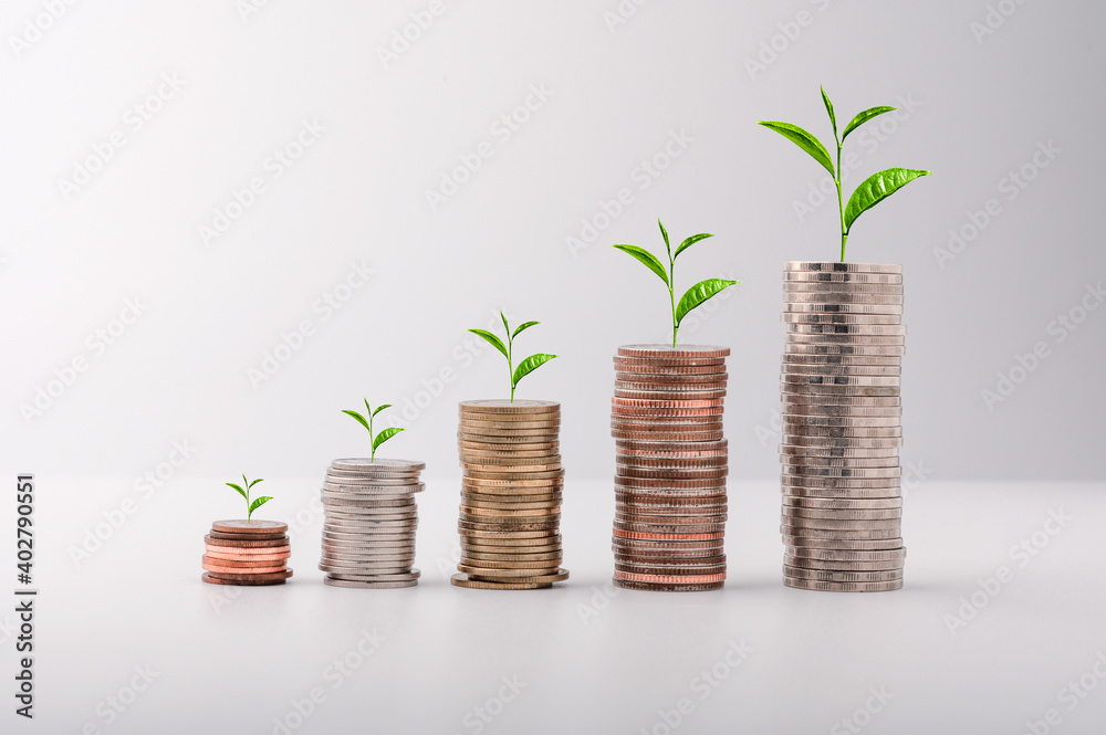 The growth of a tree on a pile of coins. Financial growth concept, rising stock concept, investment concept. The growth of a tree on a pile of coins. Financial growth concept, rising stock concept, investment concept.