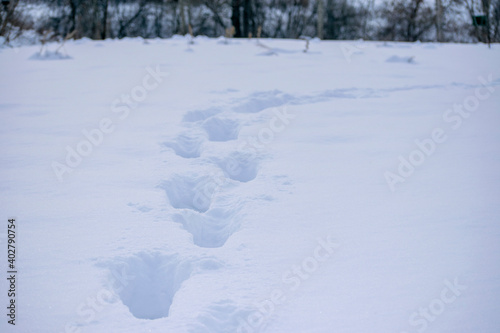 Human footprints in deep snow.