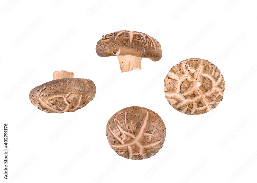 Top view of Shiitake Mushrooms isolated on white background Top view of Shiitake Mushrooms isolated on white background