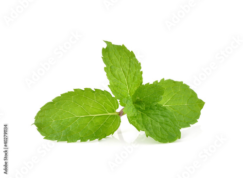 mint leafs herb. isolated on white background