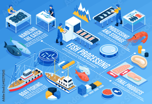 Fish Processing Horizontal Infographics