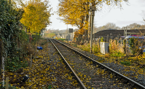 Railway Track, autumn