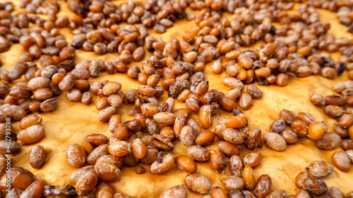 Making cheonggukjang by fermenting beans outdoors photo