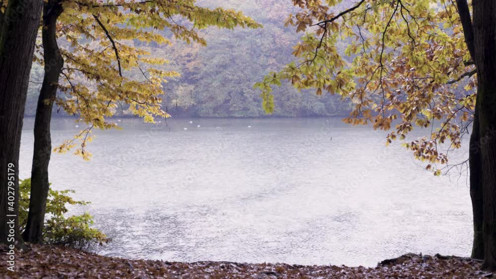 Light rain falling at Maksimir park lake, Zagreb, Croatia.