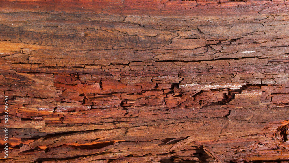 Cracked red brown wood branch or trunk showing woodgrain detail Cracked red brown wood branch or trunk showing woodgrain detail