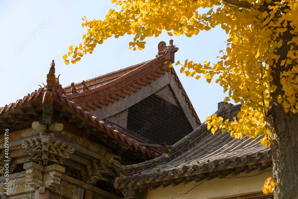 Ancient buildings under ginkgo trees in autumn