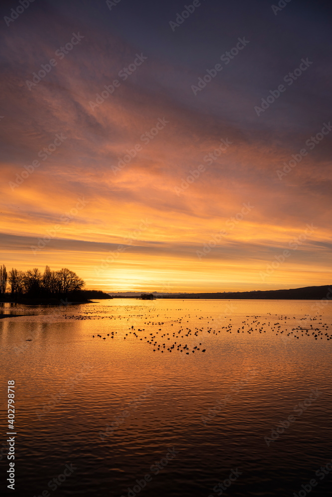 Sonnenaufgang am Bodensee