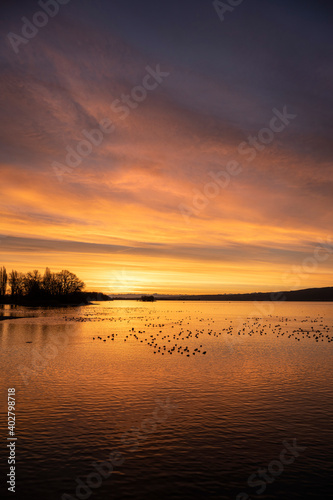 Sonnenaufgang am Bodensee © Markus Keller