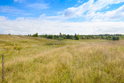 summer landscape with a wide field overgrown with grass and a blue sky with clouds