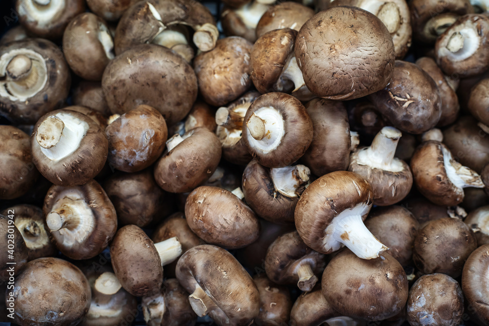 Royal mushrooms champignons on the counter in the store. Lots of facilities. Flat lay frame Royal mushrooms champignons on the counter in the store. Lots of facilities. Flat lay frame