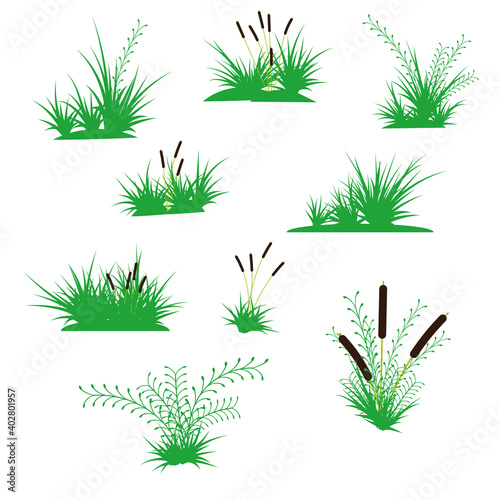 a lot of plant elements - bushes, reeds, green blades of grass for natural design
