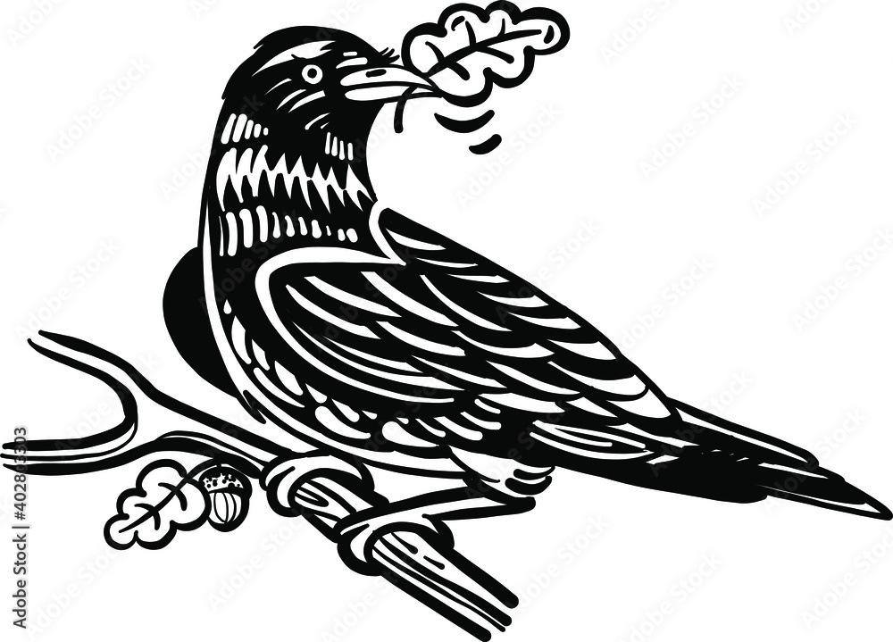 Obraz premium hand drawn illustration of a crow