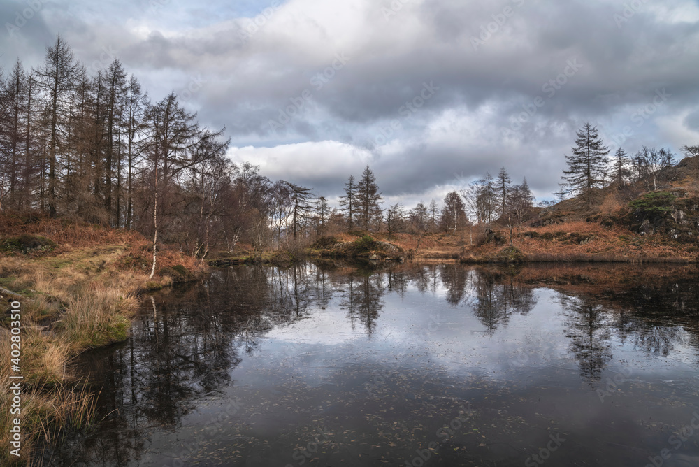 Fototapeta premium Majestic Winter landscape image view from Holme Fell in Lake District towards snow capped mountain ranges in distance in glorious evening light with Autumnal colors trees