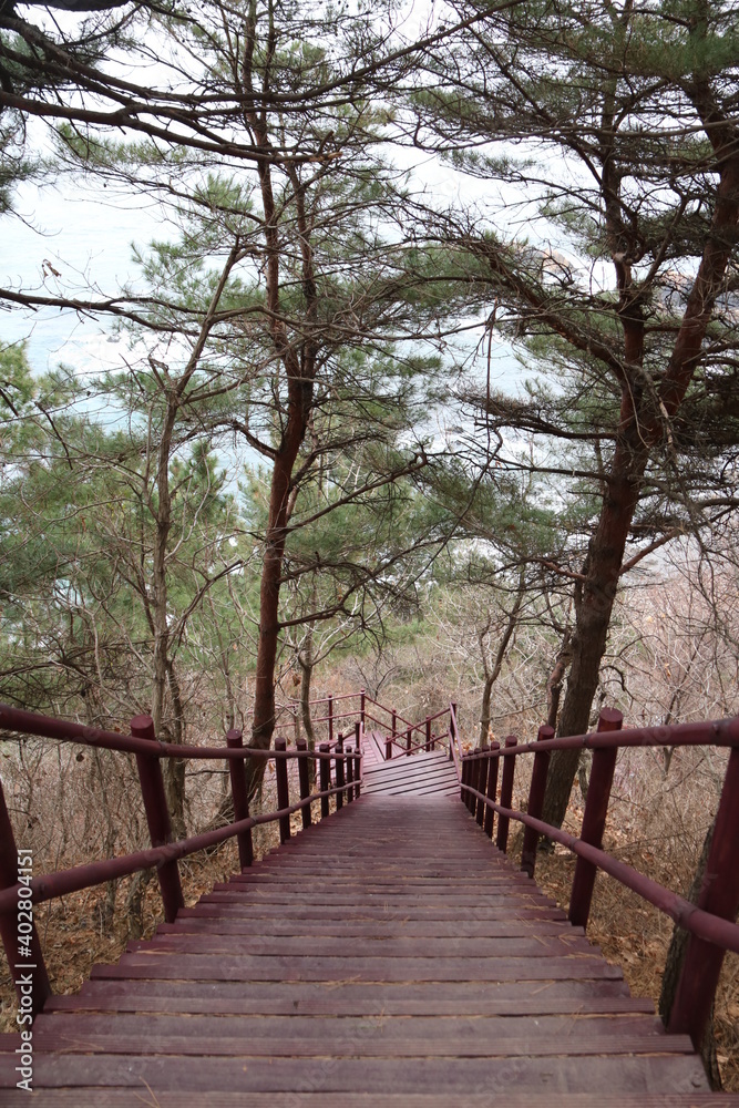 path in the park