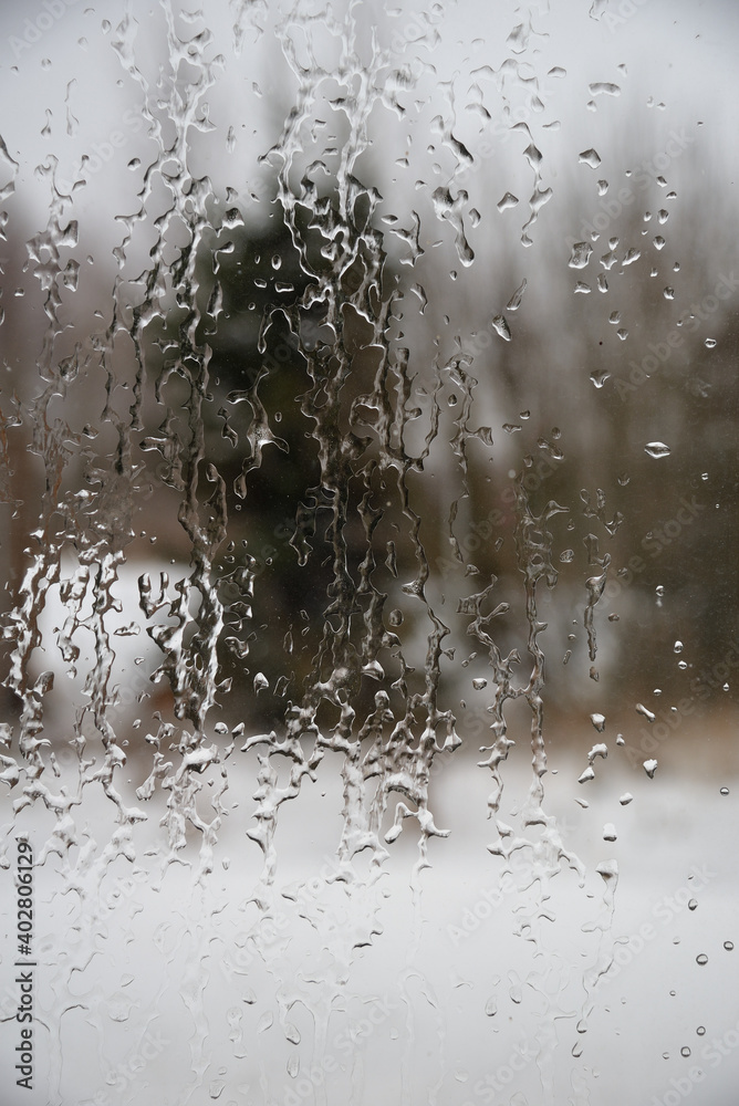 View of spruce through window with icy rain drops