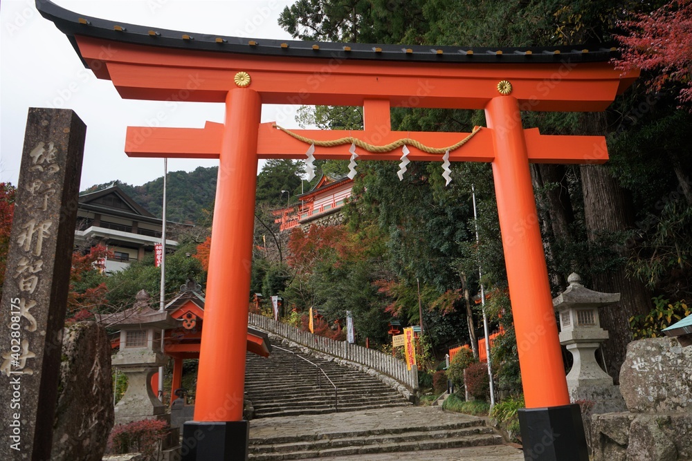 Torii and Stairway to Kumano Kumano Nachi Taisha or Shrine in Wakayama, Japan Torii and Stairway to Kumano Kumano Nachi Taisha or Shrine in Wakayama, Japan