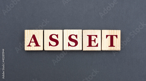 concept word ASSET on wooden cubes on a gray background