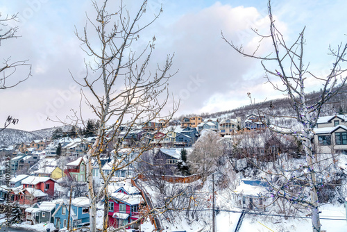 Neighborhood in the mountains with colorful homes and leafless trees in winter