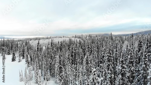 A stunning winter drone view, above the trees, flying across a snowy, snow white and frozen landscape in Yukon Territory, Canada. 
