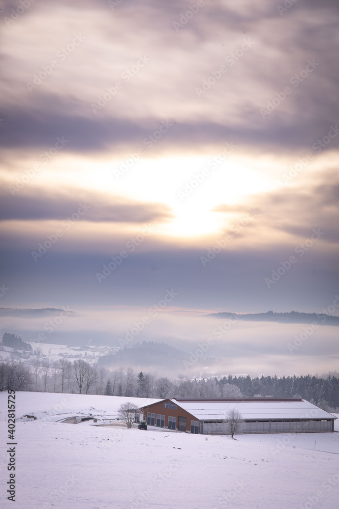 Winterstimmung im National Park Bayerischer Wald
