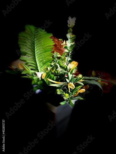 flower in a pot in black background photo