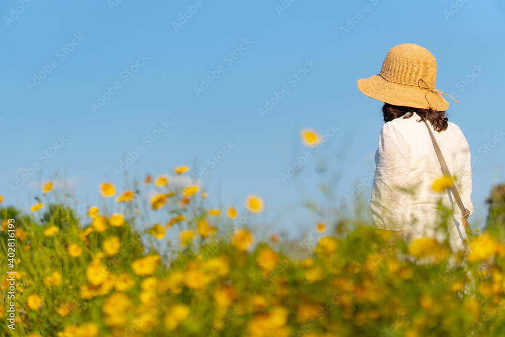 woman wearing straw hat walking in yellow flowers field under blue sky in summer woman wearing straw hat walking in yellow flowers field under blue sky in summer