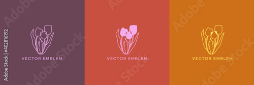 illustration of tulips 