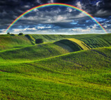 Scenic view of rainbow over green field
