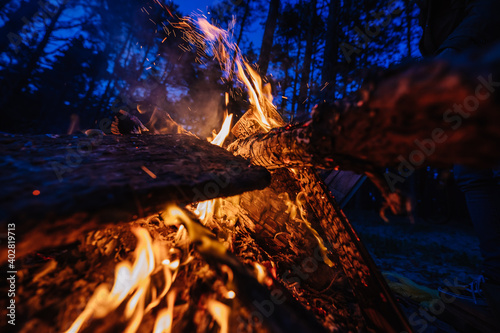 close up of a bonfire burning in a forest 