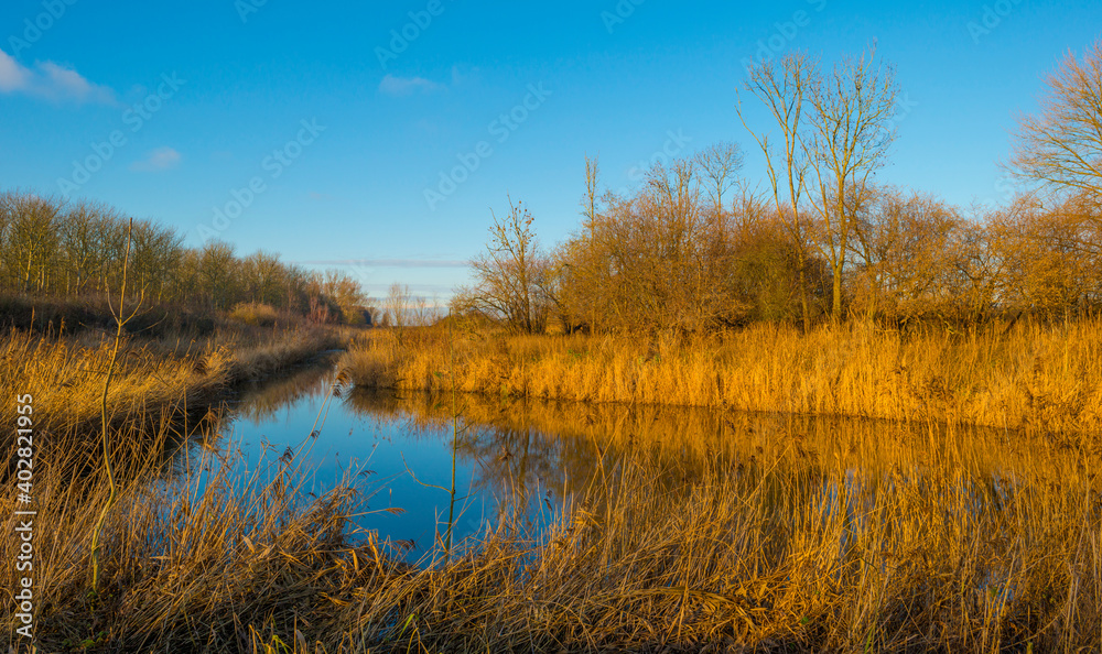 Shore of a blue lake in wetland under a bright blue sky, Almere, Flevoland, The Netherlands, January 1, 2021