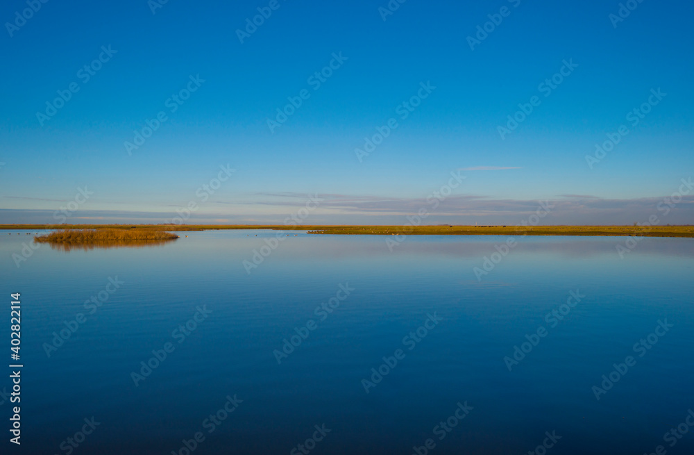 Shore of a blue lake in wetland under a bright blue sky, Almere, Flevoland, The Netherlands, January 1, 2021