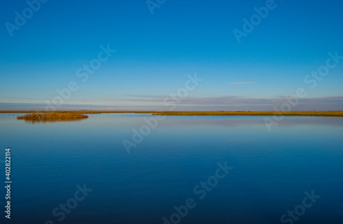 Shore of a blue lake in wetland under a bright blue sky  Almere  Flevoland  The Netherlands  January 1  2021