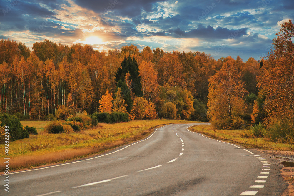 Road in the autumn forest. Yellow leaves. Dramatic sky