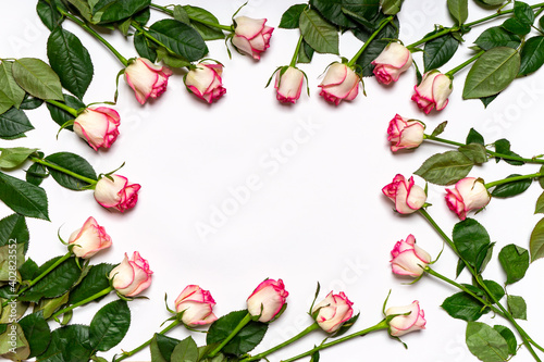 Fototapeta Naklejka Na Ścianę i Meble -  Floral composition. Frame or border made of beautiful fresh pink roses flowers on white background. Mock up for greeting card. Happy women's or mother's day concept. Flat lay, top view, copy space