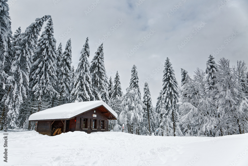 chalet des Vosges en hiver