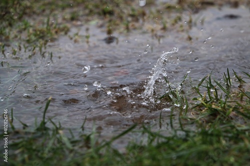 rain is falling in a puddle in the garden 