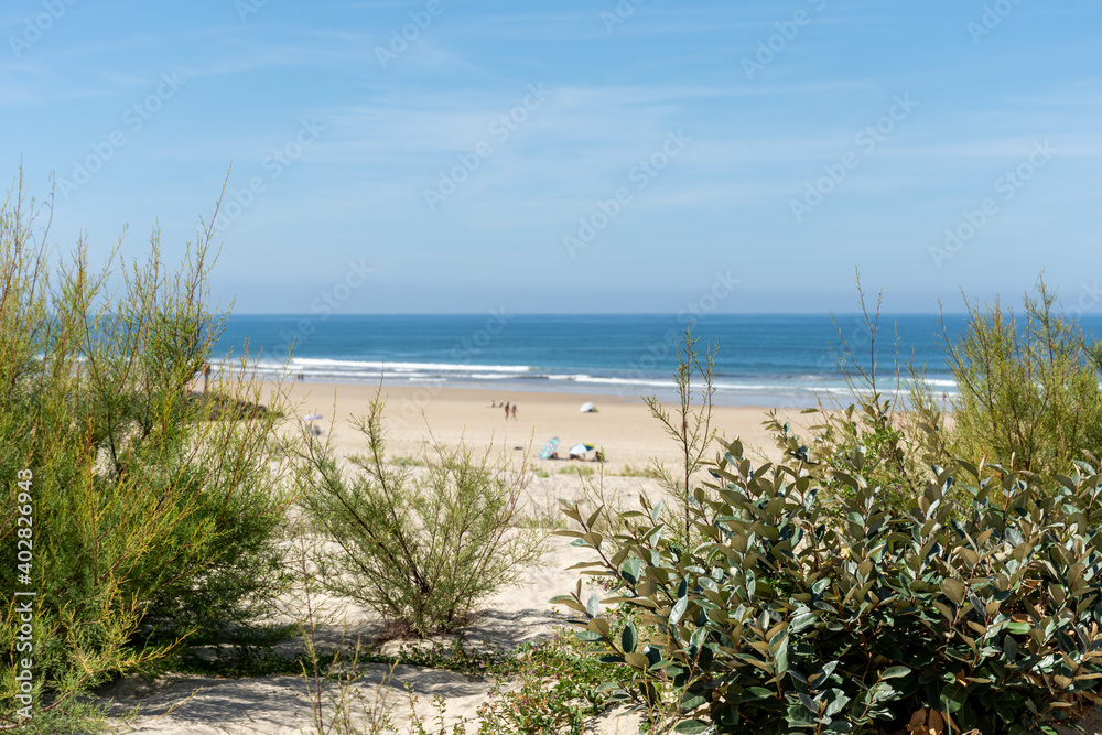 MIMIZAN (Landes, France), près de Biscarrosse. Vue sur la plage MIMIZAN (Landes, France), près de Biscarrosse. Vue sur la plage